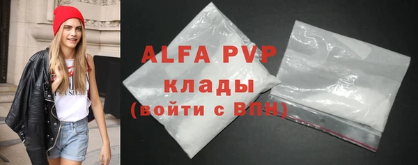 стафф Вяземский