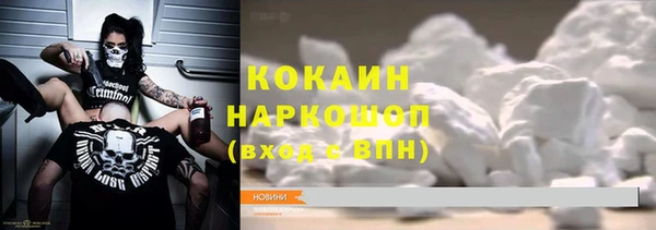стафф Вяземский