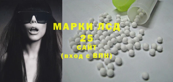 стафф Вяземский